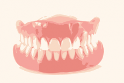 upper and lower denture cool