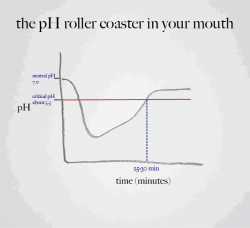 pH graph adjust